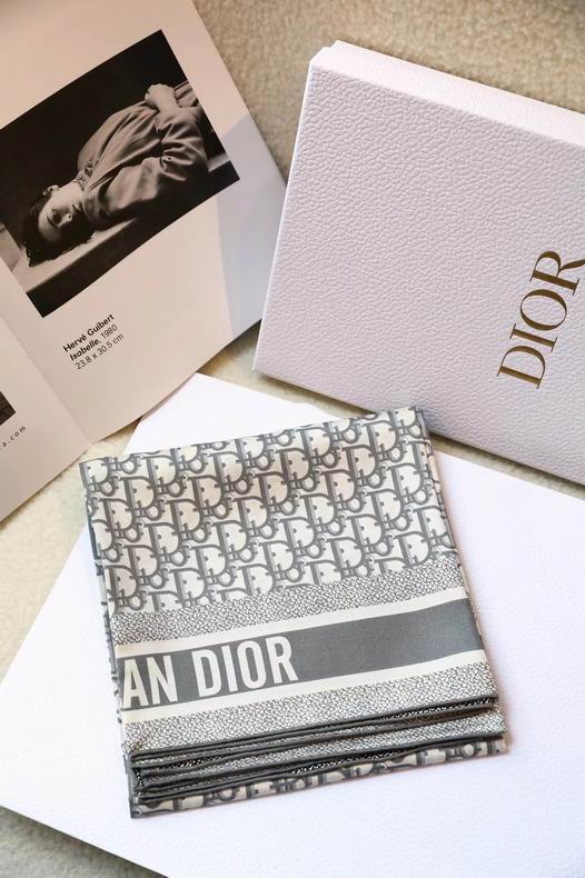 Dior Scarf ID:20221019-69